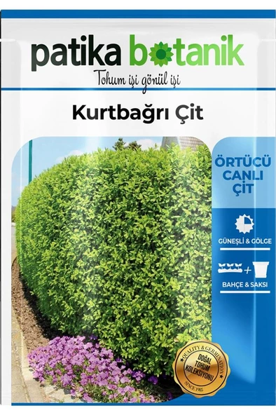 10 Adet Kurtbağrı Çit Ağaç Tohumu - 2