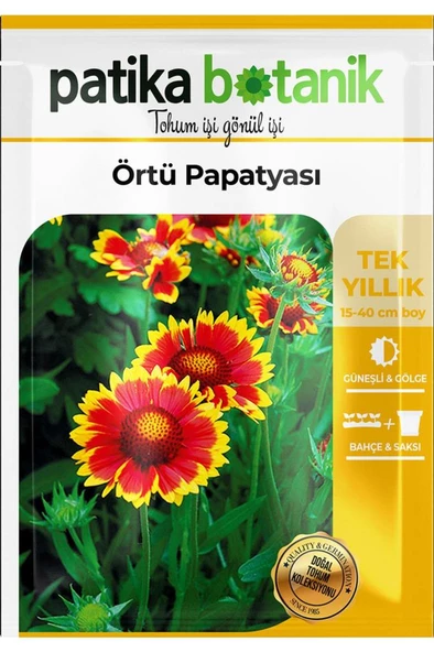50 Adet Örtü Papatyası Tohumu - Resim 2