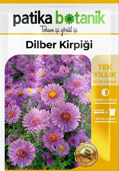 50 Adet Dilber Kirpiği (aster L.) Çiçek Tohumu - 2