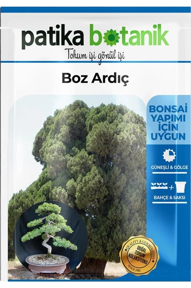 20 Adet Boz Ardıç Tohumu - 2