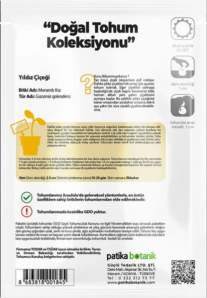 30 Adet Yıldız (dahlia) Çiçek Tohumu - 3