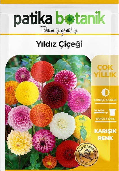 30 Adet Yıldız (dahlia) Çiçek Tohumu - 2