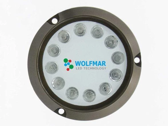 Wolfmar Alüminyum Su Altı Lambası 9-30V  Mavi