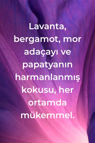 Method French Lavender Sıvı Sabun 354ML - 3