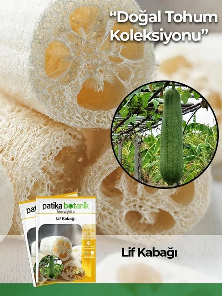 5 Adet Yerli Ata Lif Kabağı Tohumu Kabak Tohumu