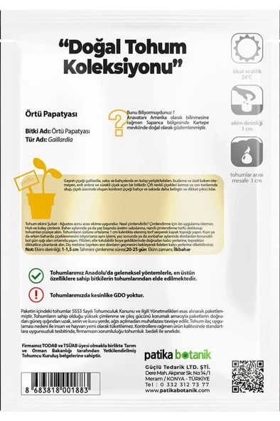 50 Adet Örtü Papatyası Tohumu - Resim 3