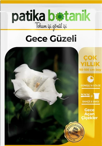 15 Adet Gece Güzeli (Datura L.) Çiçek Tohumu - 2