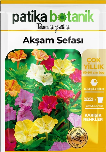 15 Adet Akşam Sefası Tohumu - 2