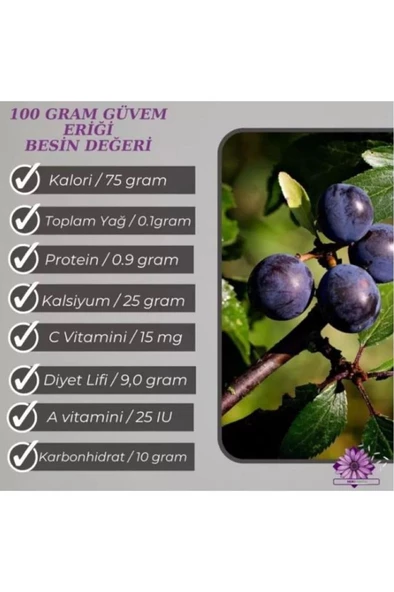 30 Adet Dağ (Güvem-Domuz) Eriği Tohumu - 3