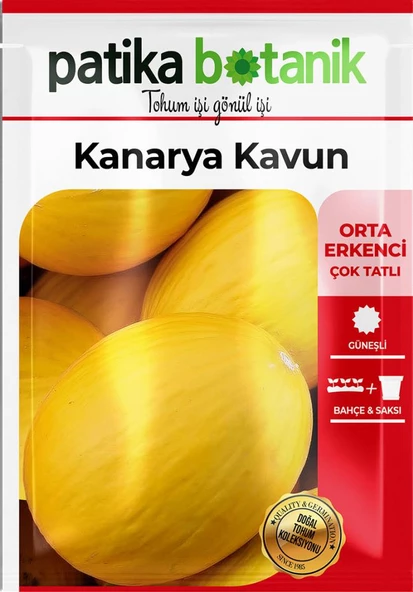 50 Adet Kanarya Kavun Tohumu - 2
