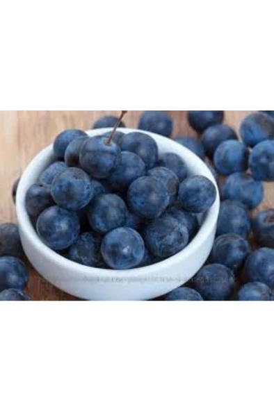 30 Adet Dağ (Güvem-Domuz) Eriği Tohumu - 8