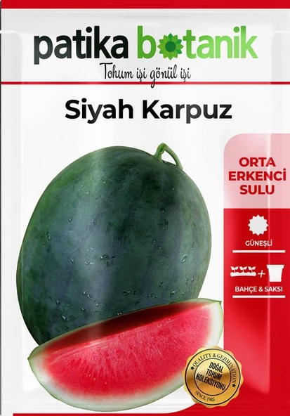 25 Adet Yerli Ata Siyah/Kara Karpuz Tohumu - 2
