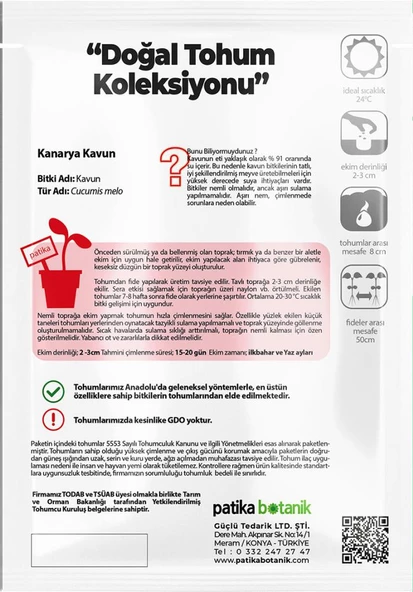 50 Adet Kanarya Kavun Tohumu - 3