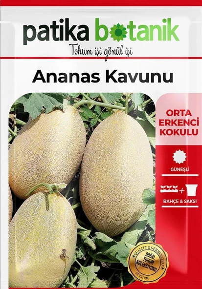 80 Adet Yerli Ata Ananas Kavun Tohumu - 2