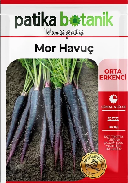 450 Adet Yerli Ata Mor Havuç Tohumu - 2