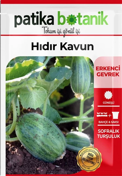 20 Adet Hıdır Kavun Tohumu - 2