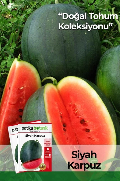 25 Adet Yerli Ata Siyah/Kara Karpuz Tohumu