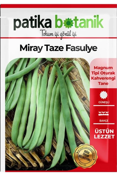 50 Adet Miray Fasulye Tohumu - 2