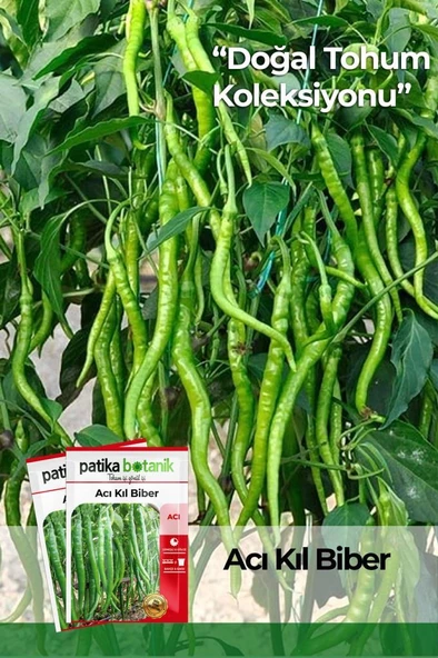 200 Adet Acı Kıl Biber Tohumu ürün görseli