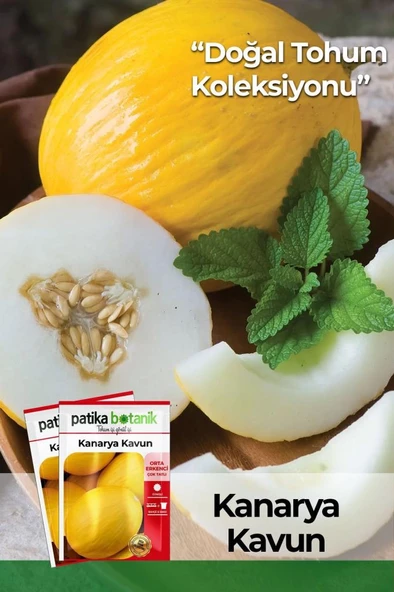 50 Adet Kanarya Kavun Tohumu