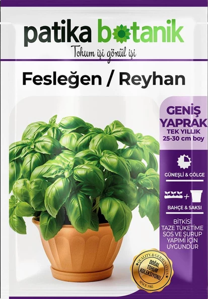 80 Adet Yerli Ata Yeşil Fesleğen - Yeşil Reyhan (Ocimum Basilicum) Tohumu - 2