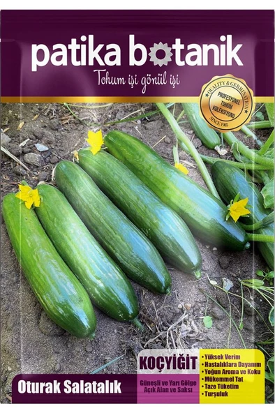 10 Adet Koçyiğit Salatalık Tohumu - Oturak - 2