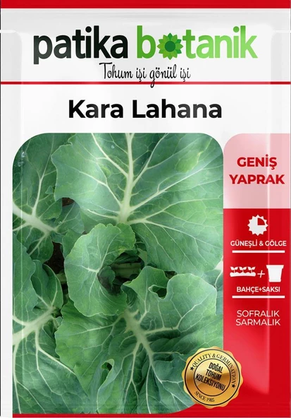 750 Adet Yerli Ata Kara (Yaprak) Lahana Tohumu - 2