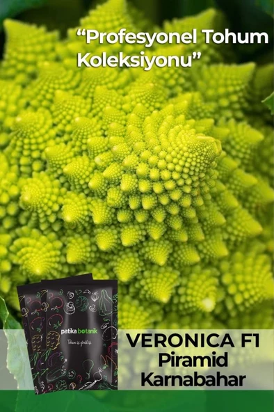25 Adet Veronica Piramit Karnabahar Tohumu
