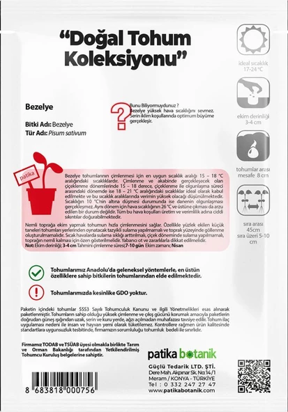 40 Adet Yerli Ata Taze Bezelye Tohumu (Utrillo, Araka) - 3