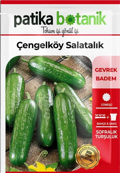 150 Adet Çengelköy Salatalık Tohumu - Resim 2