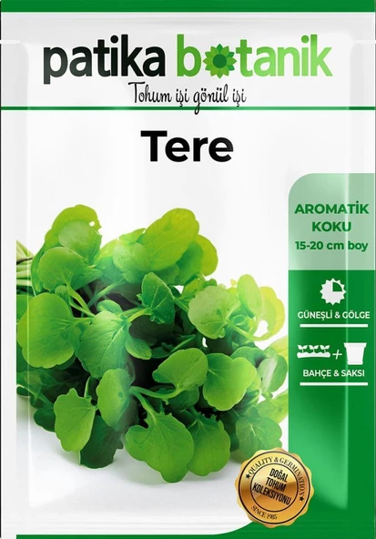 4.000 Adet Yerli Ata Tere Tohumu - 2