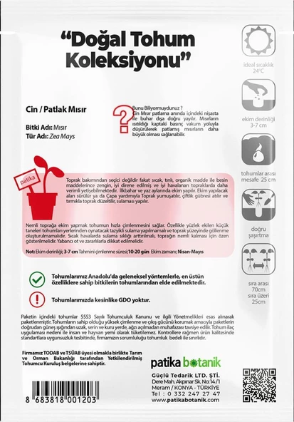 40 Adet Ata Tohumu Yerli Cin Mısır (POPCORN) - Resim 3