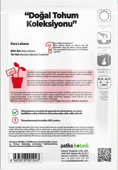 750 Adet Yerli Ata Kara (Yaprak) Lahana Tohumu - 3