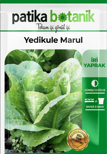 1.500 Adet Yerli Ata Yedikule Marul Tohumu - 2