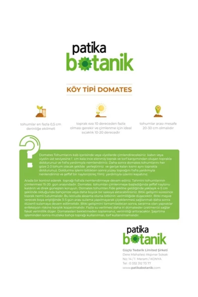 250 Adet Yerli Köy Tipi Domates Tohumu - Resim 3