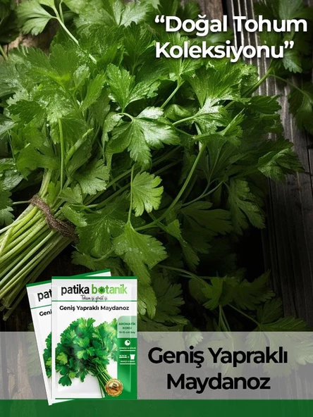 4000 Adet Ata Tohumu Yerli Geniş Yapraklı Maydonoz
