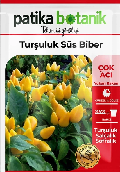 150 Adet Yerli Ata Turşuluk Süs Biberi - Resim 2