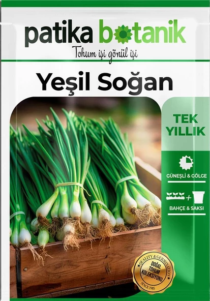 400 Adet Yerli Ata Yeşil Soğan Tohumu - 2