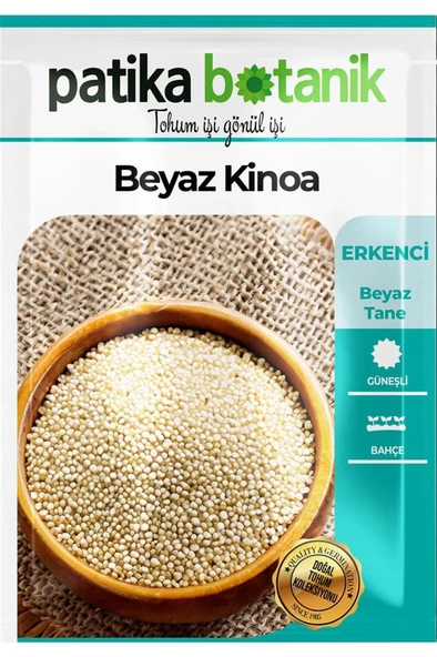 100 Adet Beyaz Kinoa Tohumu - Resim 2