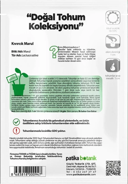 1.700 Adet Kışlık Yerli Ata Kıvırcık Marul Tohumu - Resim 3