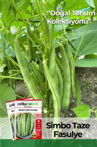 50 Adet Simbo Fasulye Tohumu ürün görseli