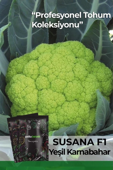 25 Adet Susana Yeşil Karnabahar Tohumu ürün görseli