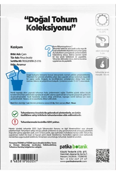 20 Adet Kızılçam Ağaç Tohumu - Resim 3