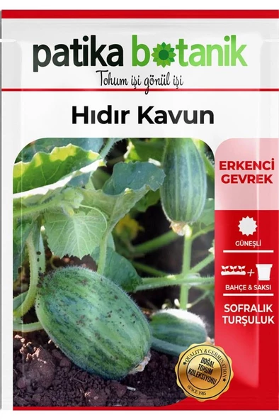 20 Adet Hıdır Kavun Tohumu - 2