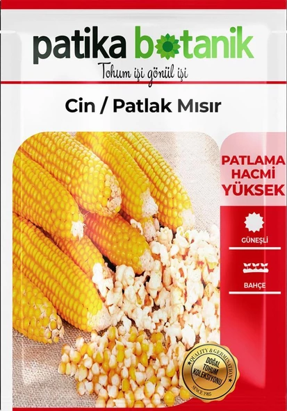 40 Adet Ata Tohumu Yerli Cin Mısır (POPCORN) - Resim 2