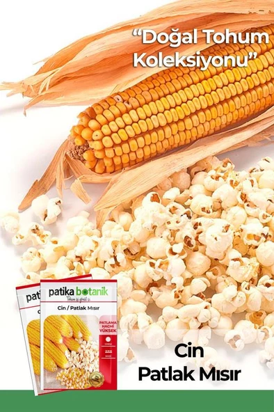 40 Adet Ata Tohumu Yerli Cin Mısır (POPCORN)