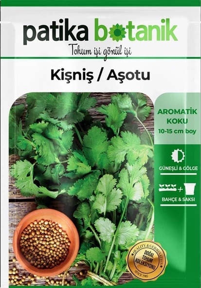 500 Adet Yerli Ata Kişniş Tohumu (Aşotu) - 2