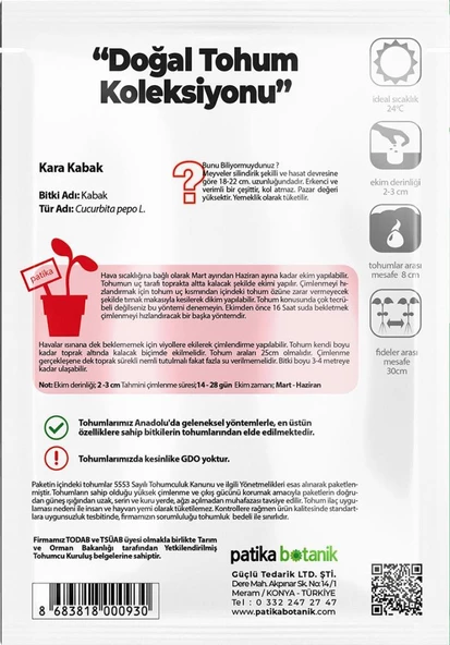 25 Adet Yerli Ata Siyah Kabak Tohumu (Kolsuz Kara Kabak) - 3