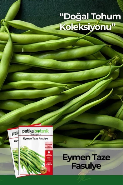 50 Adet Eymen Oturak Fasulye Tohumu ürün görseli