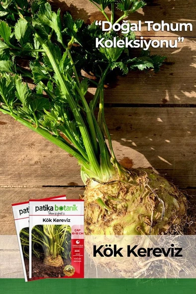 8.000 Adet Yerli Ata Kök Kereviz Tohumu ürün görseli